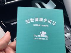 -虹泰宠物医院 ·旗舰店·24h(南秀路店)