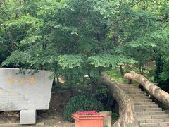 -金龙寺国家森林公园