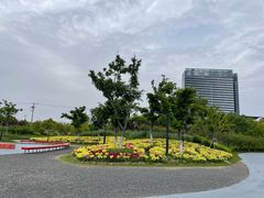 -春花秋色城市公园