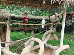 -齐齐哈尔龙沙动植物园