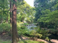 -上海共青森林公园