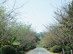 -凤凰沟景区