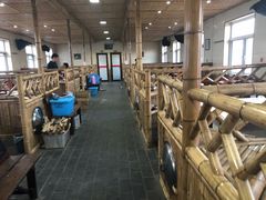 大堂-大鹅岛灶台鱼·铁锅炖(水库路店)