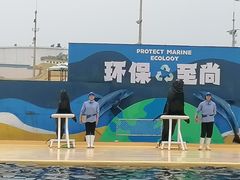 -秦皇岛乐岛海洋王国