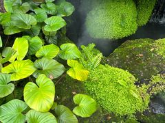 -Chom Cafe and Restaurant