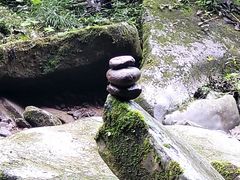 -碧峰峡风景区