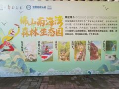 -南海湾森林生态园