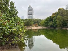 -深圳国际园林花卉博览园