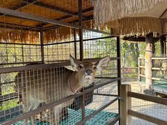 -珠海海泉湾神秘岛亲子乐园