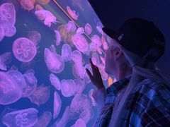 -多彩贵州城极地海洋世界