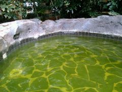 -龙达温泉生态城