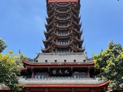 -塔子山公园