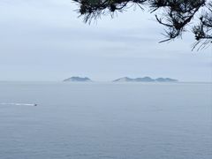 -棒棰岛宾馆景区