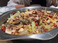 -万和源炝锅城·活鱼现炝(文艺北路店)