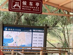 -北海金海湾红树林生态旅游区