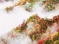 -神农架景区