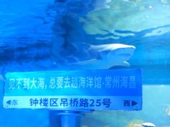 -常州海昌海洋探索馆