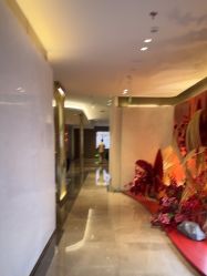 -深圳米兰柏羽医疗美容医院