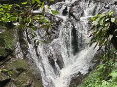-莫里热带雨林景区