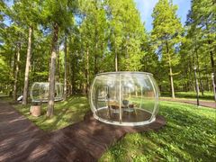 -黄海国家森林公园