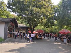 -天目湖山水园