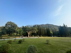 -深圳仙湖植物园