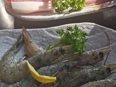-道乐烧肉酒馆