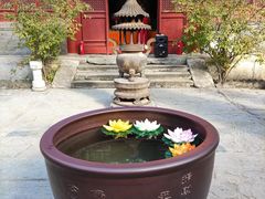 -北京上方山国家森林公园