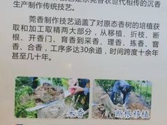 -中国沉香文化博物馆