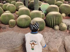 -南通洲际绿博园