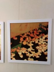 -尚艺造型.剪烫染.接发