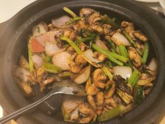 -十六台·经典广东菜(德外大街店)