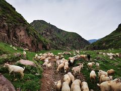 -蔚县茶山村