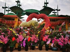 -松山湖梦幻百花洲