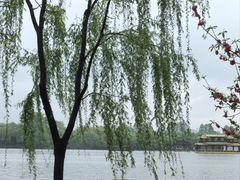 -柳浪闻莺公园