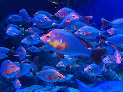 -成都浩海立方海洋公园