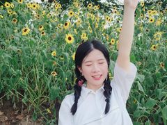 -二沙岛艺术公园