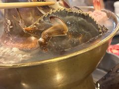 -鑫龙火锅城(青岛分店)