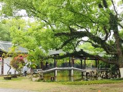 -江心屿景区