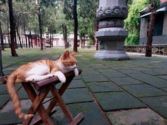 -四门塔风景区