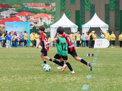 -碧云国际社区·晓园