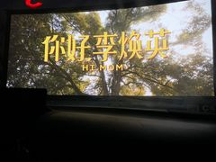 -枫花园汽车电影院(朝阳公园店)