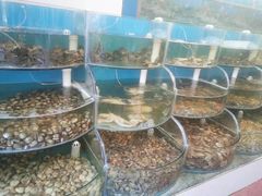 水产区-同道蒸汽海鲜烧烤自助(刘庄夜市店)