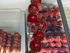 -高家小院铁锅炖大鹅(哈西高铁站店)