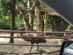 -常州淹城野生动物世界