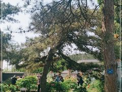 -国家植物园南园