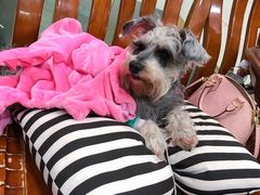 -爱侣宠医·鹦鹉专科·小型哺乳类·异宠专科(灵石路店)