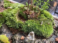 -竹吟山房