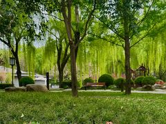 -唐城墙遗址公园