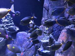 -成都浩海立方海洋公园